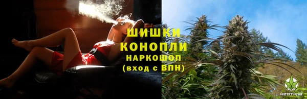 прущие грибы Киреевск