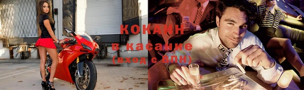 шишки Кинешма