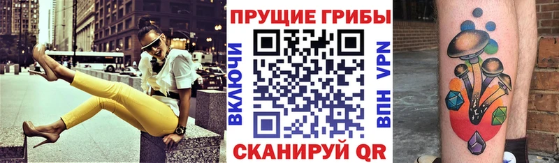 Галлюциногенные грибы прущие грибы  как найти   Котельнич 